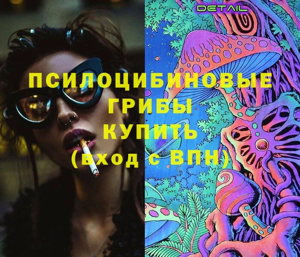 прущий лед Арсеньев