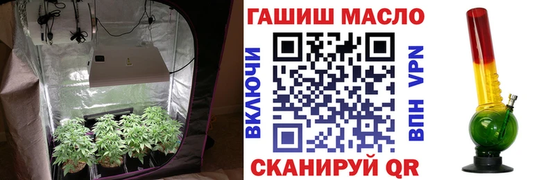 Купить закладки  Мирный  Дистиллят ТГК гашишное масло 
