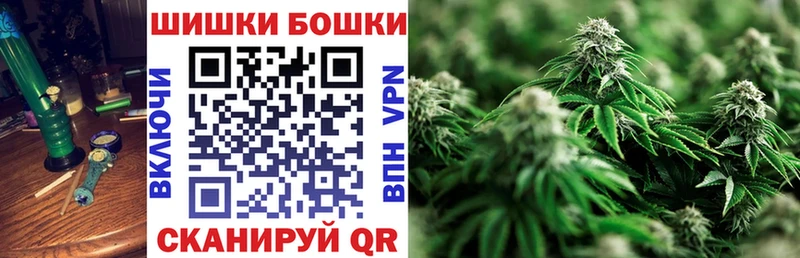 Купить закладки  Мирный  Бошки марихуана сатива 